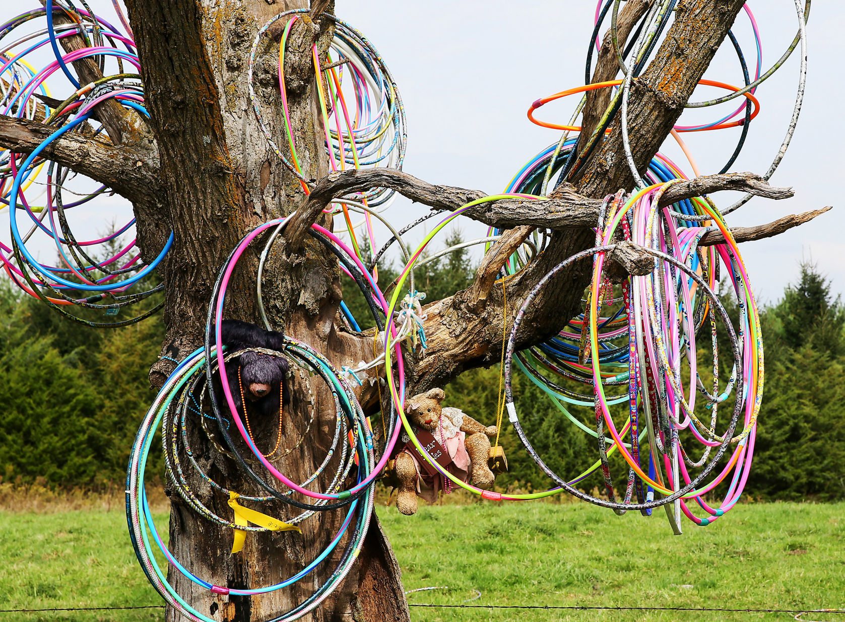 102518-Hula-Hoop-Tree-003